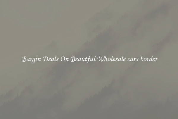 Bargin Deals On Beautful Wholesale cars border
