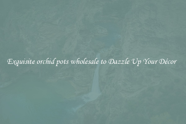 Exquisite orchid pots wholesale to Dazzle Up Your Décor  