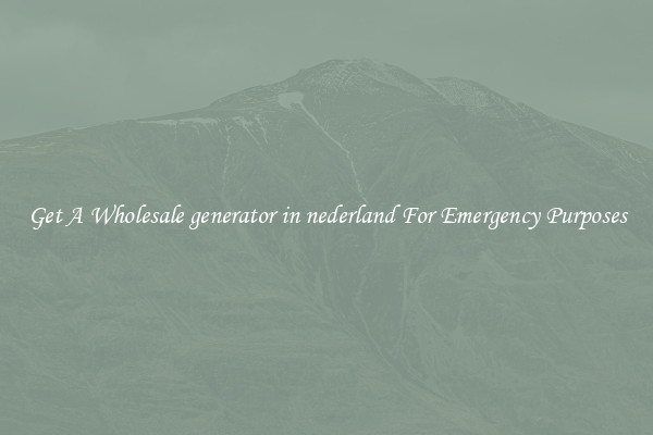 Get A Wholesale generator in nederland For Emergency Purposes