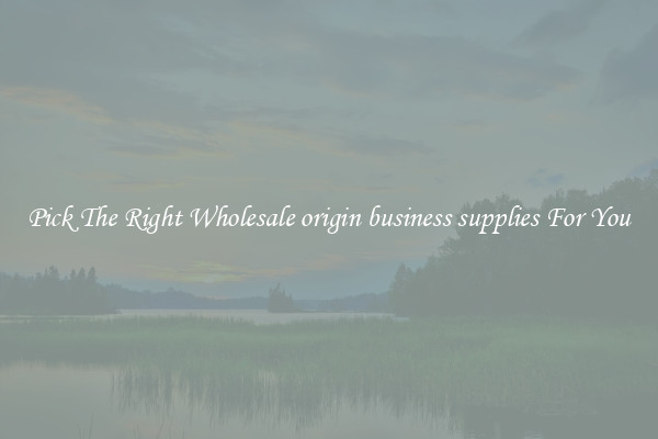 Pick The Right Wholesale origin business supplies For You