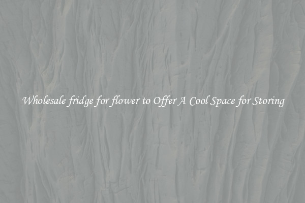 Wholesale fridge for flower to Offer A Cool Space for Storing
