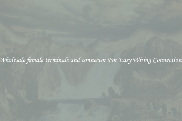Wholesale female terminals and connector For Easy Wiring Connections