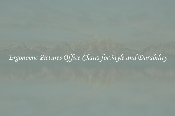 Ergonomic Pictures Office Chairs for Style and Durability