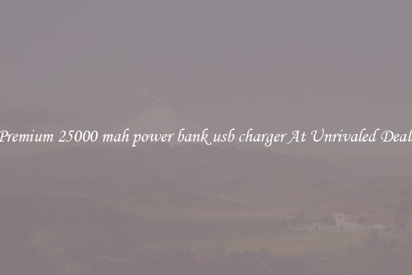 Premium 25000 mah power bank usb charger At Unrivaled Deals