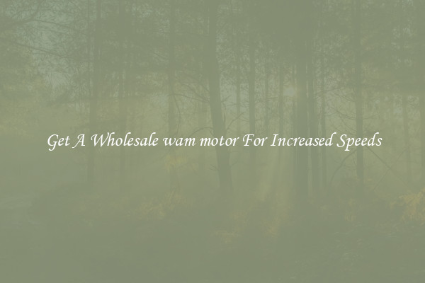 Get A Wholesale wam motor For Increased Speeds