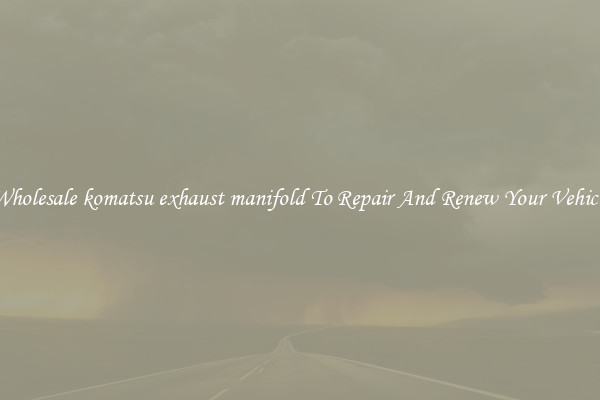 Wholesale komatsu exhaust manifold To Repair And Renew Your Vehicle