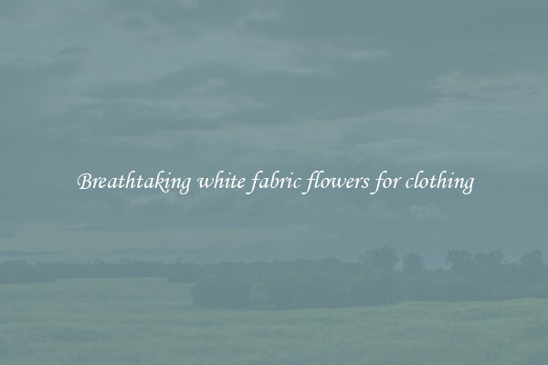 Breathtaking white fabric flowers for clothing