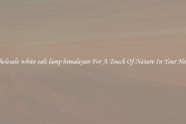 Wholesale white salt lamp himalayan For A Touch Of Nature In Your House
