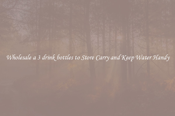 Wholesale a 3 drink bottles to Store Carry and Keep Water Handy