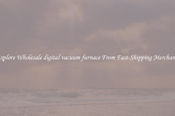 Explore Wholesale digital vacuum furnace From Fast-Shipping Merchants
