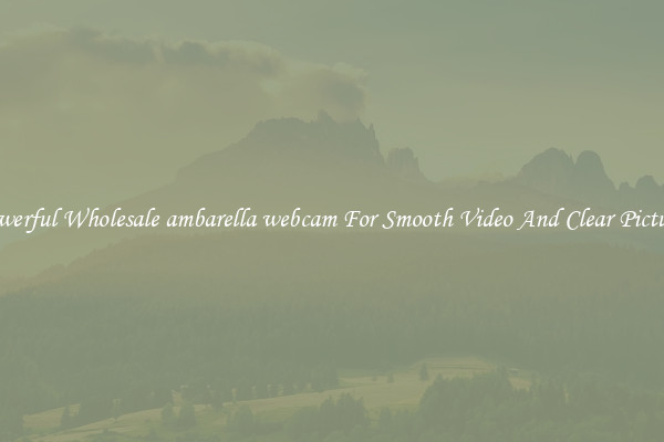 Powerful Wholesale ambarella webcam For Smooth Video And Clear Pictures