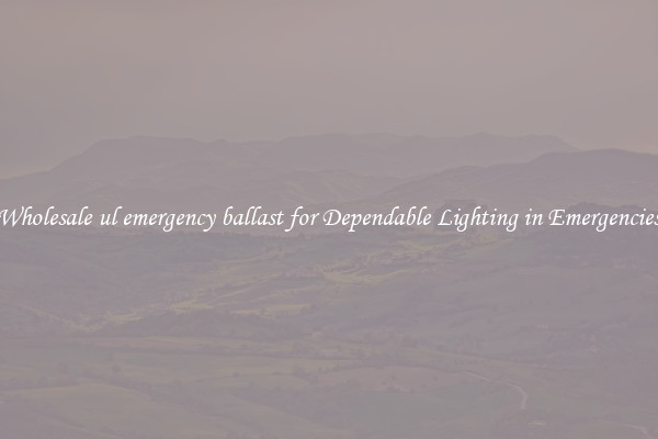 Wholesale ul emergency ballast for Dependable Lighting in Emergencies