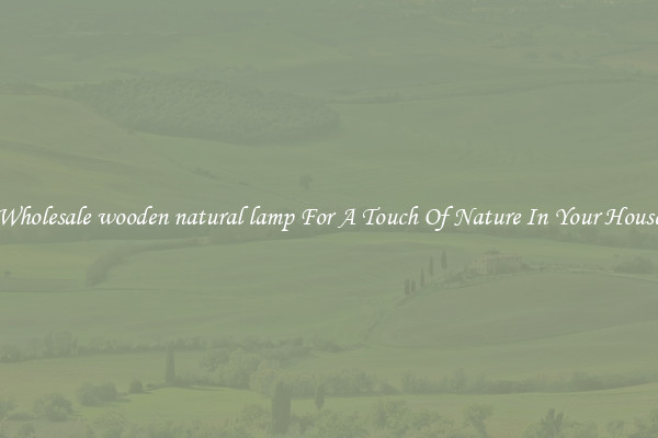 Wholesale wooden natural lamp For A Touch Of Nature In Your House