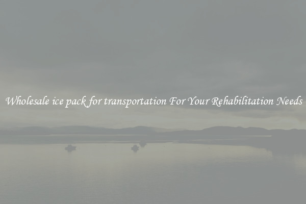 Wholesale ice pack for transportation For Your Rehabilitation Needs