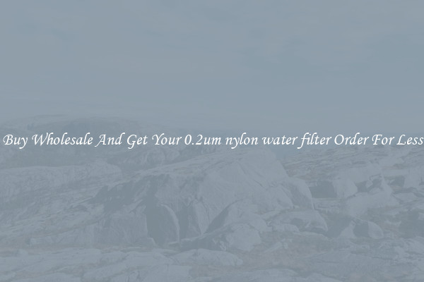 Buy Wholesale And Get Your 0.2um nylon water filter Order For Less
