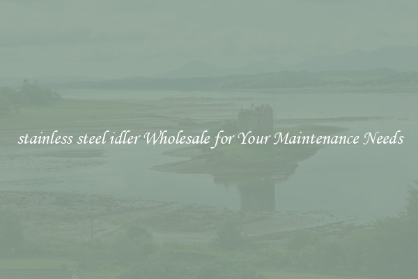 stainless steel idler Wholesale for Your Maintenance Needs