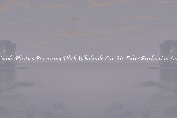 Simple Plastics Processing With Wholesale Car Air Filter Production Line