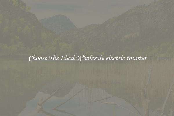Choose The Ideal Wholesale electric rounter